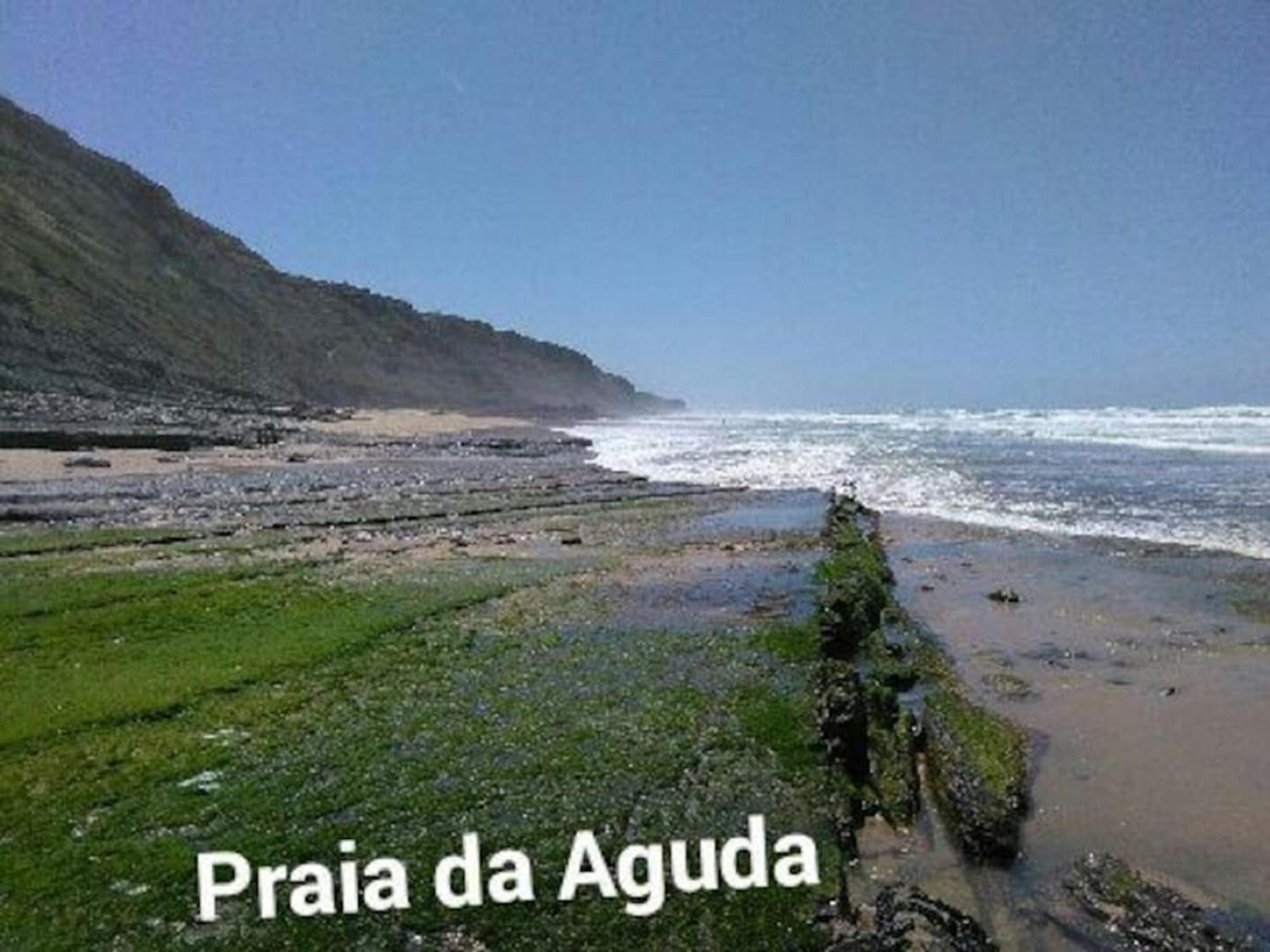 הוילה קולארס Casa Sol E Mar מראה חיצוני תמונה